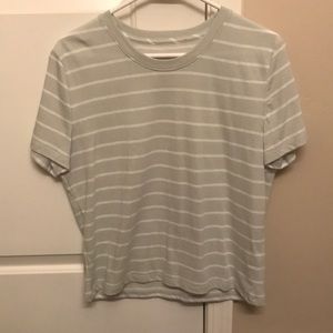 Everlane sage and white striped tee